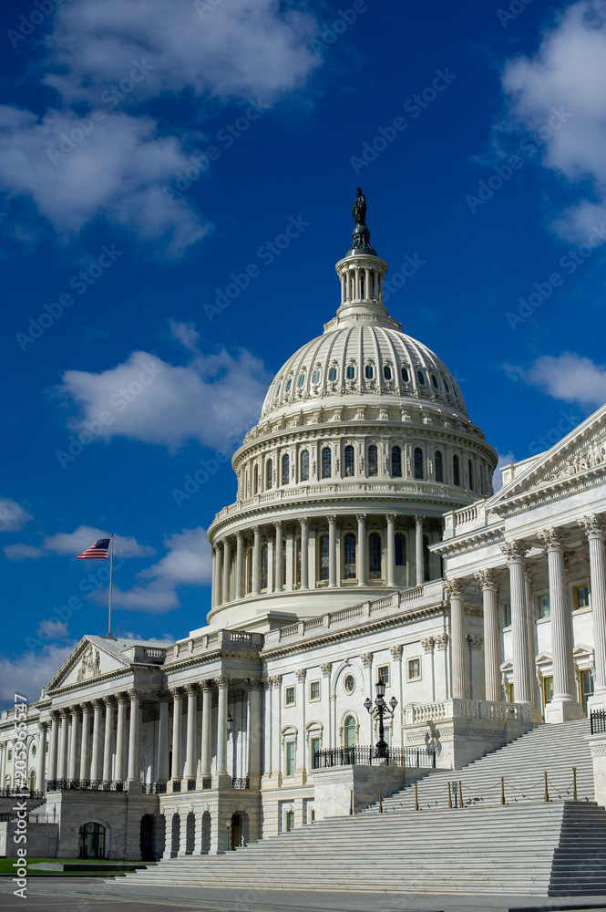 Obraz premium US Capital Dome