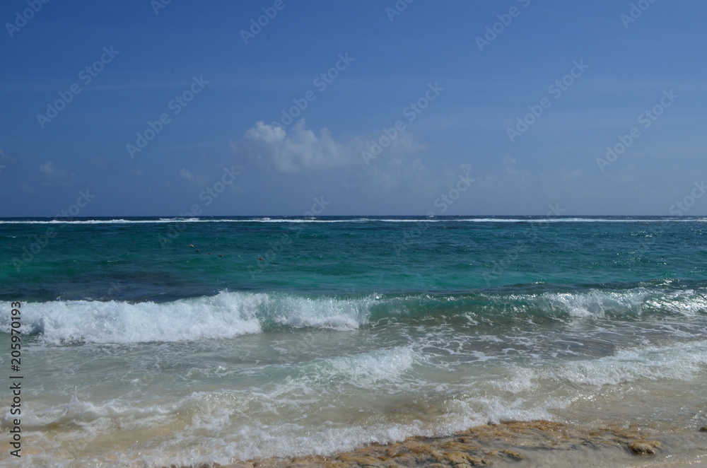 Amar el mar Amar el mar