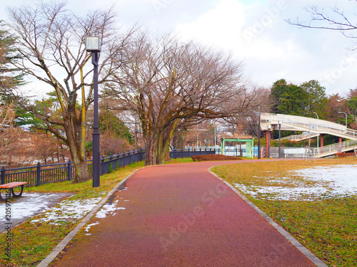 Center cycle bike lane red asphalt in Japanese park, dry dark brown no leaf branch tree trunks, yellow orange green grass field, white melting snow, cloudy grey sky, road overpass bridge background