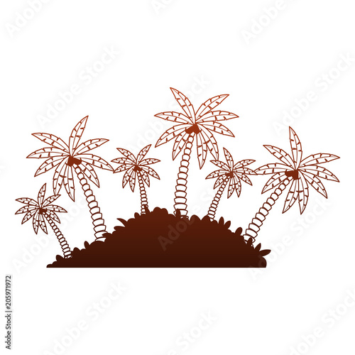 Beach palms with bush vector illustration graphic design