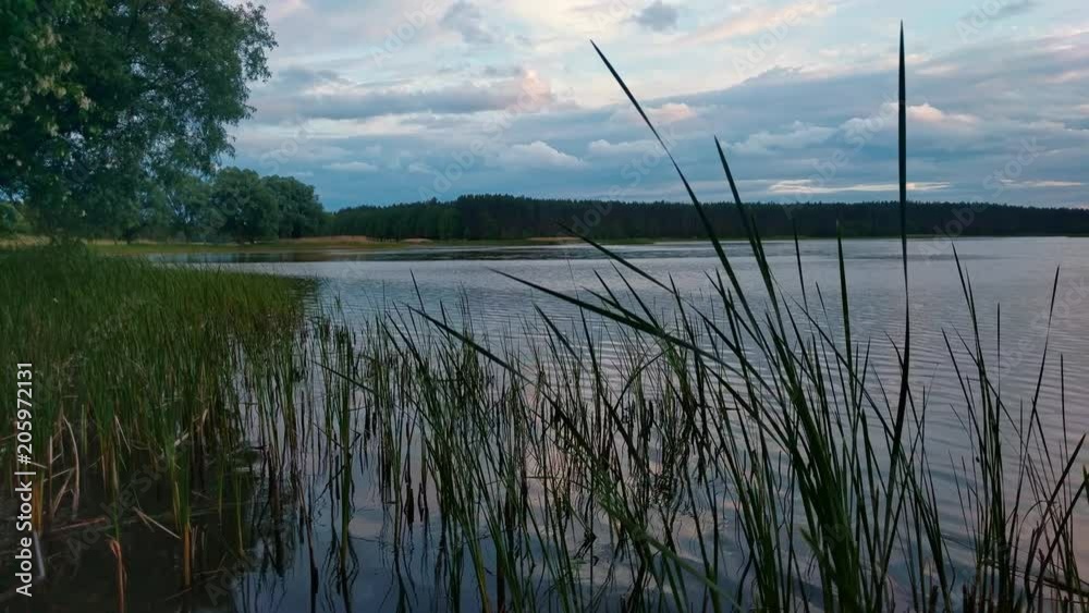 Summer evening at lake with dramatic sky and reflection in water and grass on foreground Summer evening at lake with dramatic sky and reflection in water and grass on foreground