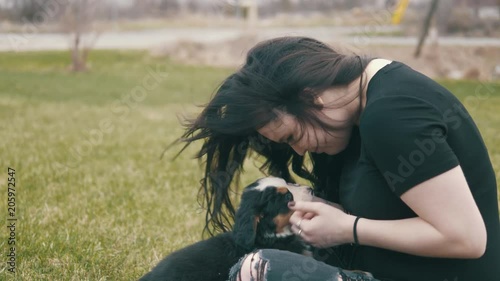 Young millennial woman sitting in grass pets a burnese mountain dog puppy photo