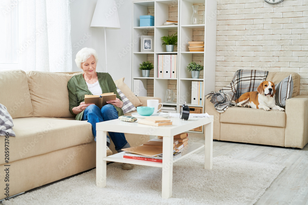 Full length portrait of elegant senior woman reading book sitting on couch and enjoying weekend with pet dog beside her in modern apartment interior, copy space Full length portrait of elegant senior woman reading book sitting on couch and enjoying weekend with pet dog beside her in modern apartment interior, copy space
