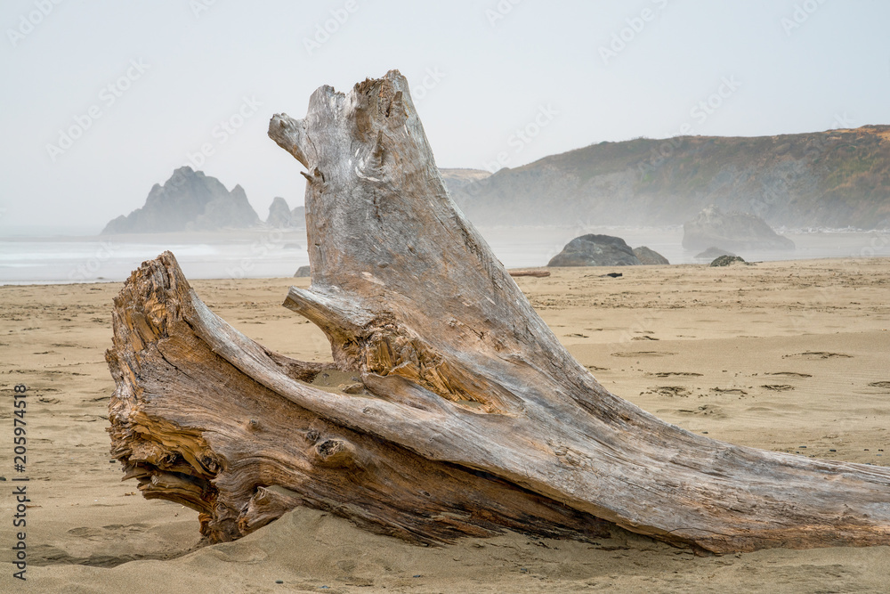 Driftwood with Sea Stacks in the Background on a Foggy Beach in Bandon, Oregon Driftwood with Sea Stacks in the Background on a Foggy Beach in Bandon, Oregon