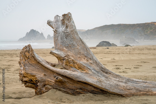 Driftwood with Sea Stacks in the Background on a Foggy Beach in Bandon, Oregon