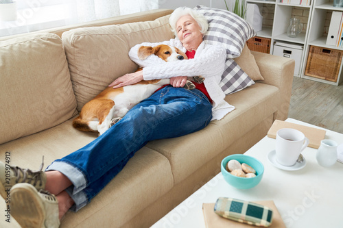 Full length high angle portrait of white haired senior woman sleeping on couch hugging her dog enjoying afternoon nap at home, copy space photo