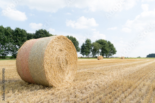 Golden grain field with straw bales