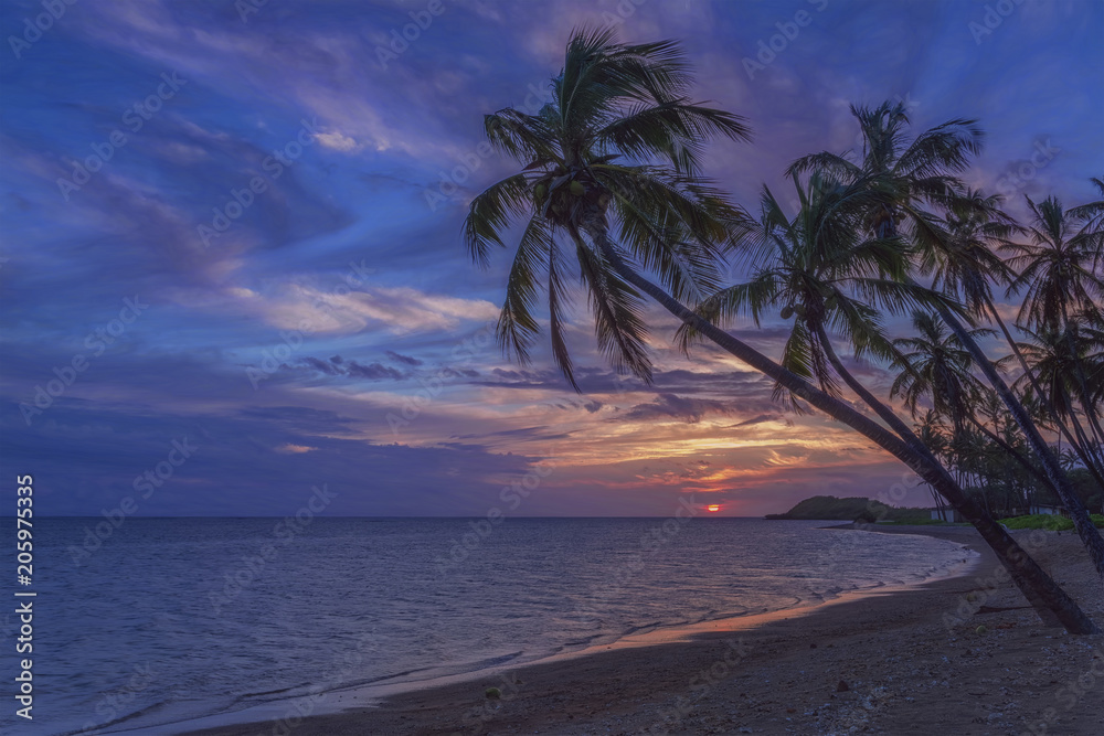 Palm trees silhouetted against the sky at sunset on a beach in Molokai, Hawaii