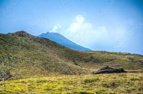 wild vegetation flourishing on slope of mount etna in Sicily, Italy photo