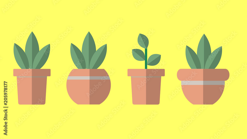Vector flat Plants in pots, plants icon