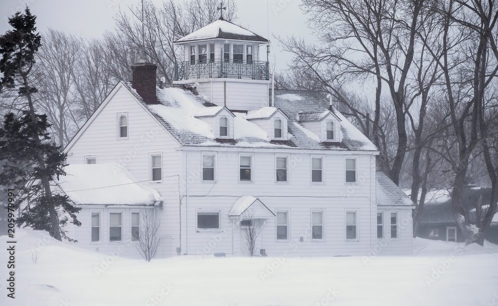 Naklejka premium Snowed In