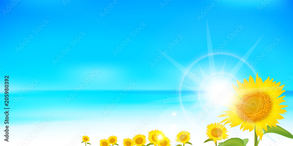 ひまわり 夏 風景 背景 ひまわり 夏 風景 背景