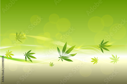 green cannabis leaf drug marijuana herb Background.