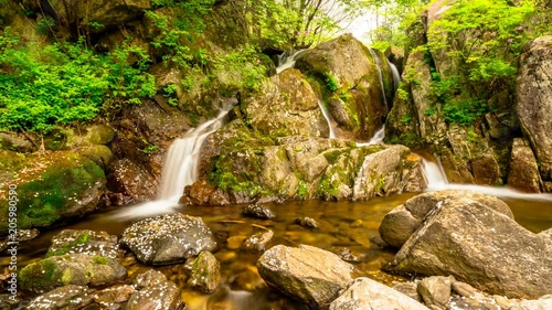 Royal Azalea of Wolseong Valley with waterfalls, time lapse. photo