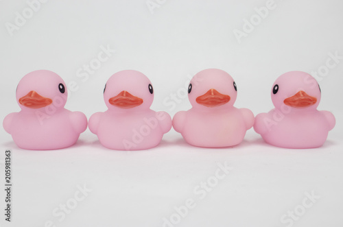 Four pink rubber ducks as viewed from the front on an isolated white background