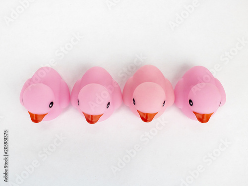 Four pink rubber ducks as viewed from above on an isolated white background