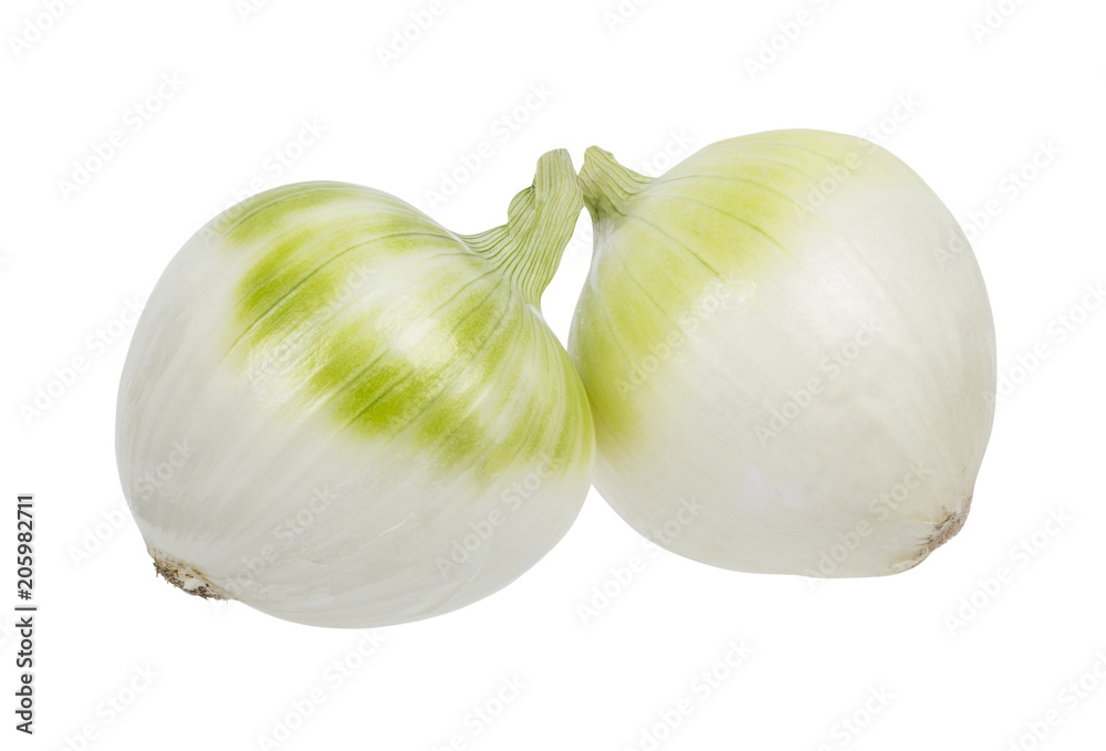 Vegetables isolated on a white background Vegetables isolated on a white background