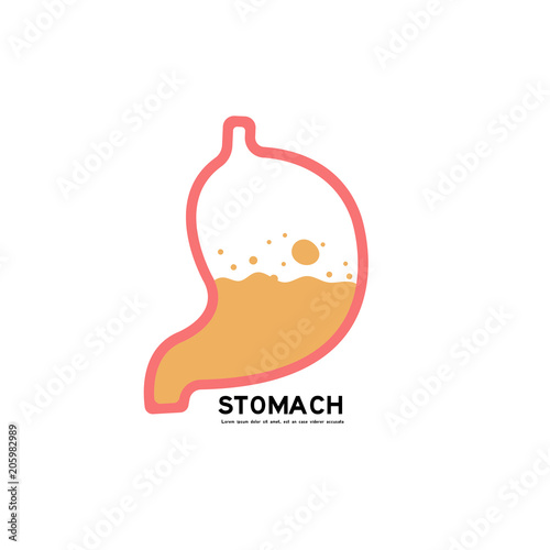 stomach