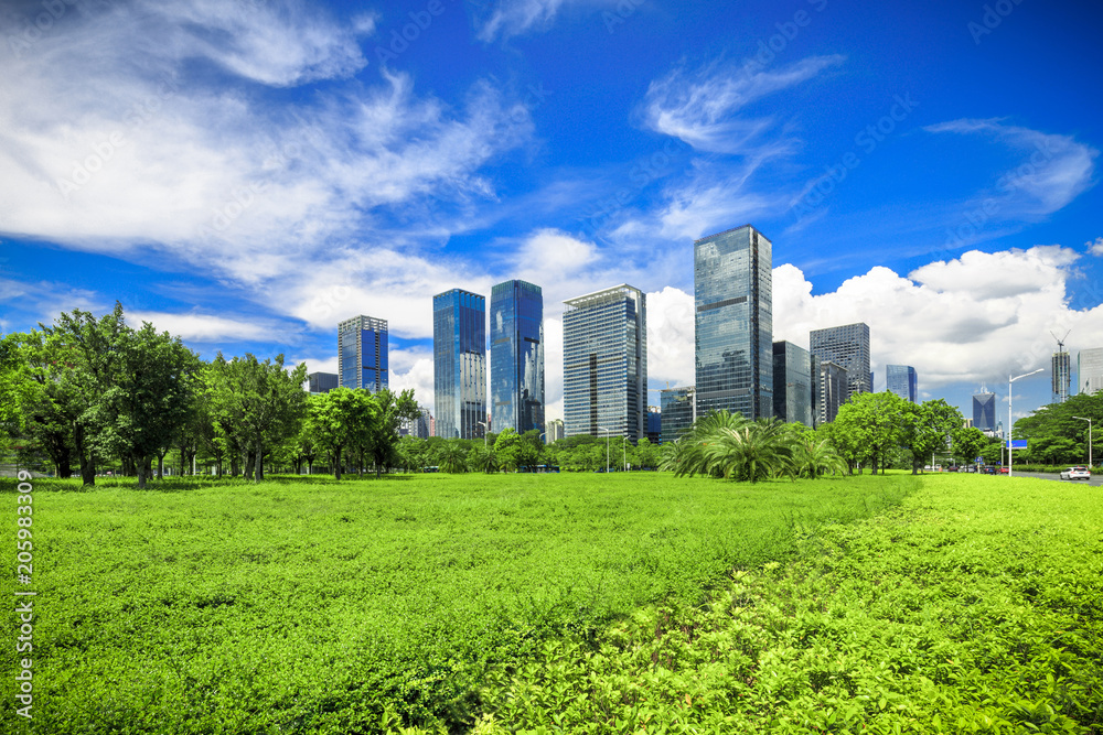 Obraz premium City park under blue sky with Downtown Skyline in the Background