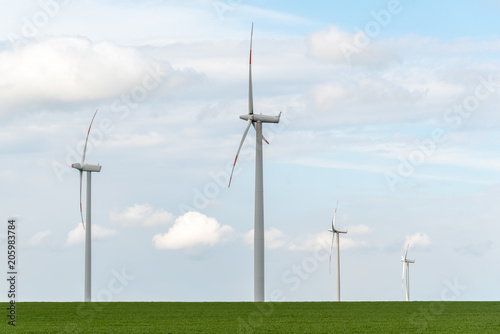 Windmills on the colza field