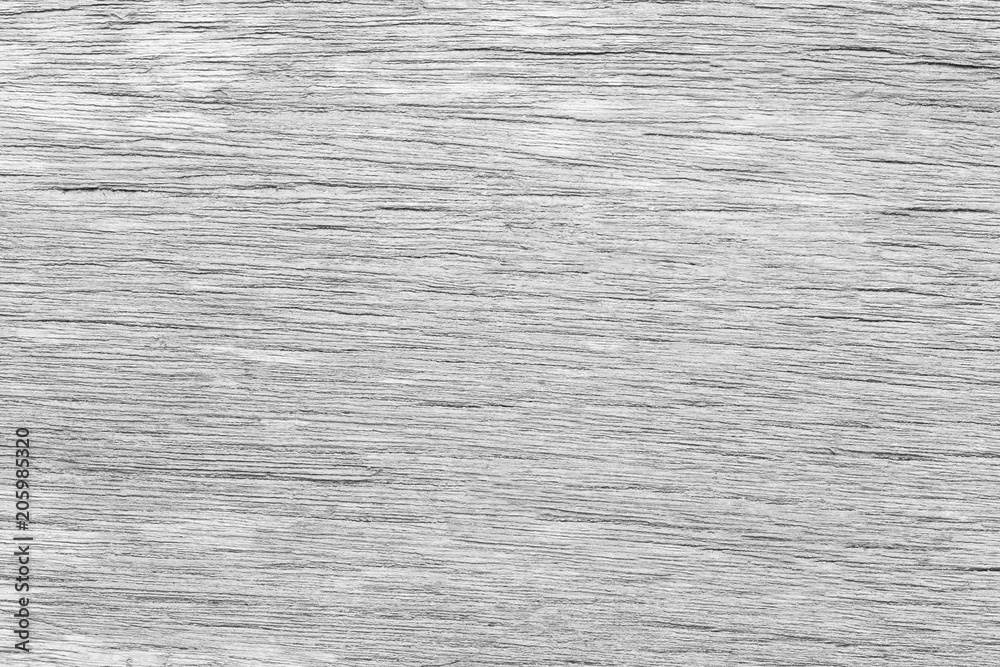 White wood texture background,walls of the interior. White wood texture background,walls of the interior.