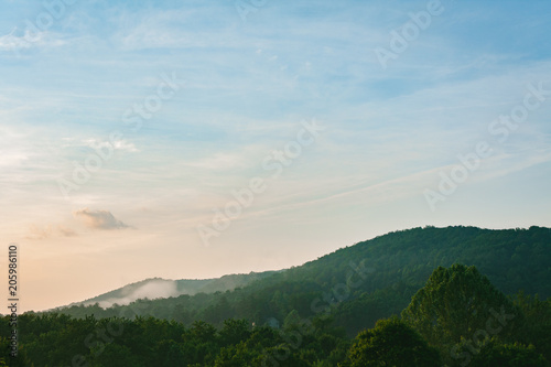 Morning Mountain Mist