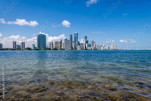 The Miami Cityscape