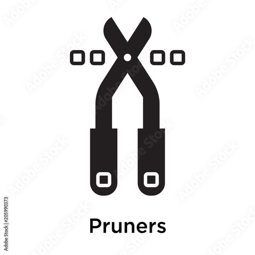 Pruners icon isolated on white background