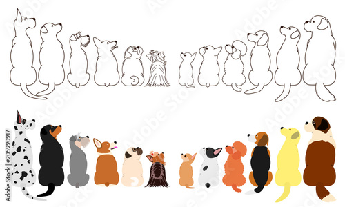 many dogs looking up sideways in two rows