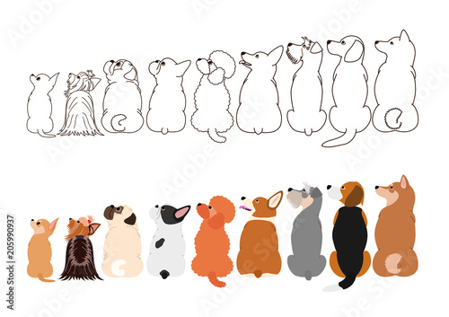 small dogs looking up sideways in a row