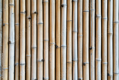 Fototapeta Naklejka Na Ścianę i Meble -  bamboo fence texture for background