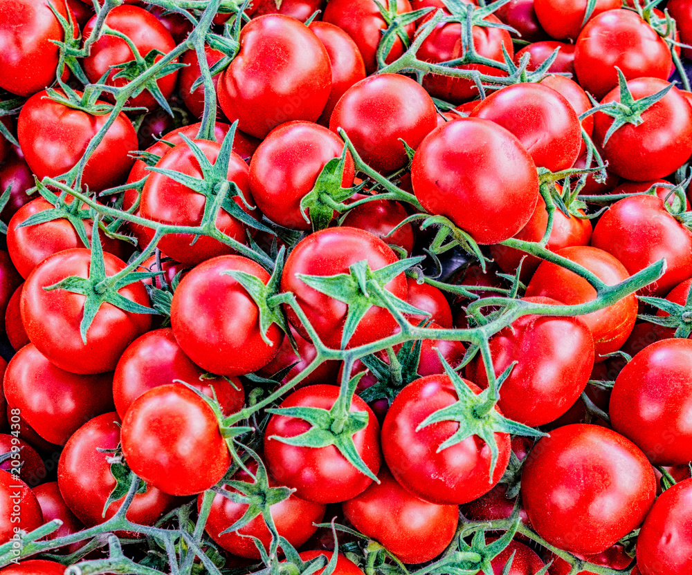 Tomatoes for sale on the vine