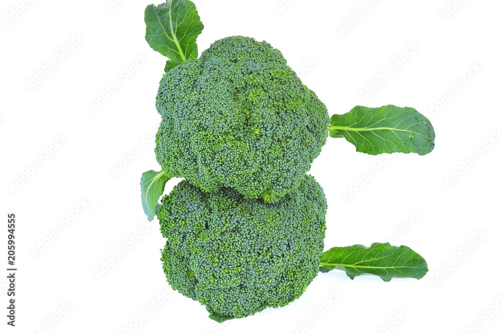 Vegetables broccoli on a white background Vegetables broccoli on a white background