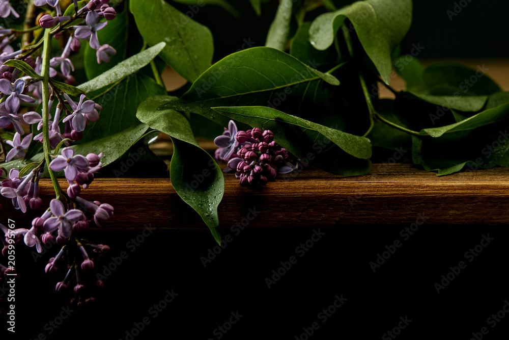 Obraz premium close-up shot of aromatic lilac flowers and leaves on wooden surface isolated on black