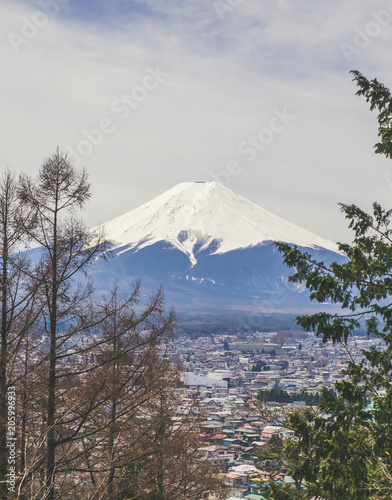 Magnifique vue sur le Mont Fuji au printemps depuis la Chureito Pagoda