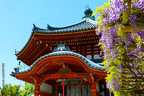 興福寺の南円堂の風景