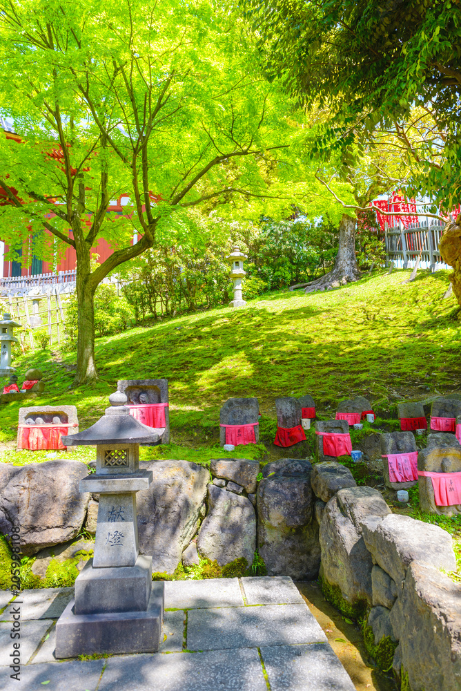 興福寺の風景