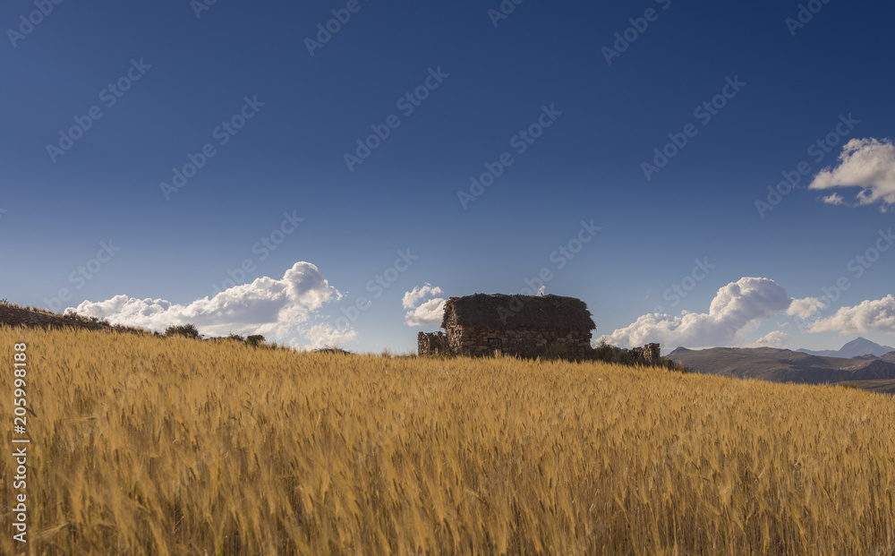 Fototapeta premium Casa de pradera