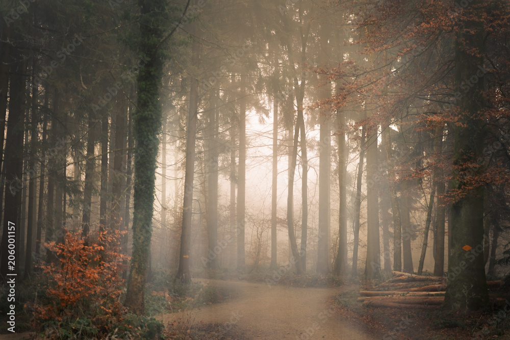 Obraz premium Herbstsimmung