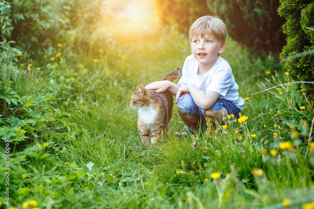 Cute little preschooler boy playing with a cat outdoors in the grass with yellow dandelion. Cute little preschooler boy playing with a cat outdoors in the grass with yellow dandelion.