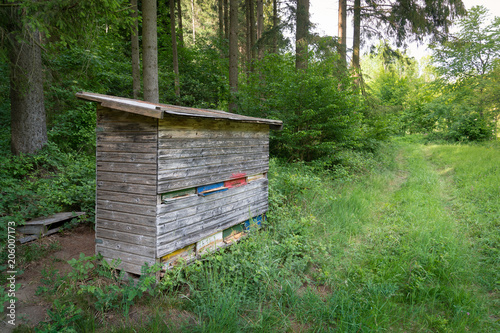 Bienenhütte am Waldrand photo