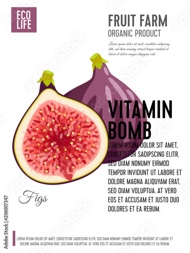 Packaging label. Concept design with inscription. Fig, purple whole fruit and half. Vector flat poster template with text.