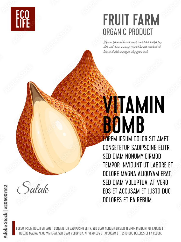 Fototapeta premium Packaging label. Concept design with inscription. Salak fruit. Vector flat poster template with text.