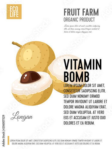 Packaging label. Concept design with inscription. Longan fruit. Vector flat poster template with text.