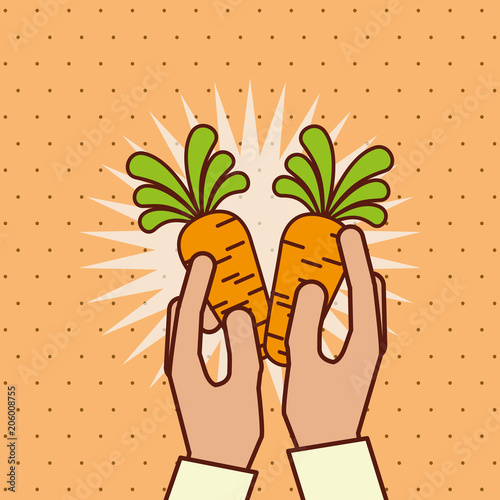 Wallpaper Mural hand holding fresh vegetable carrots vector illustration Torontodigital.ca