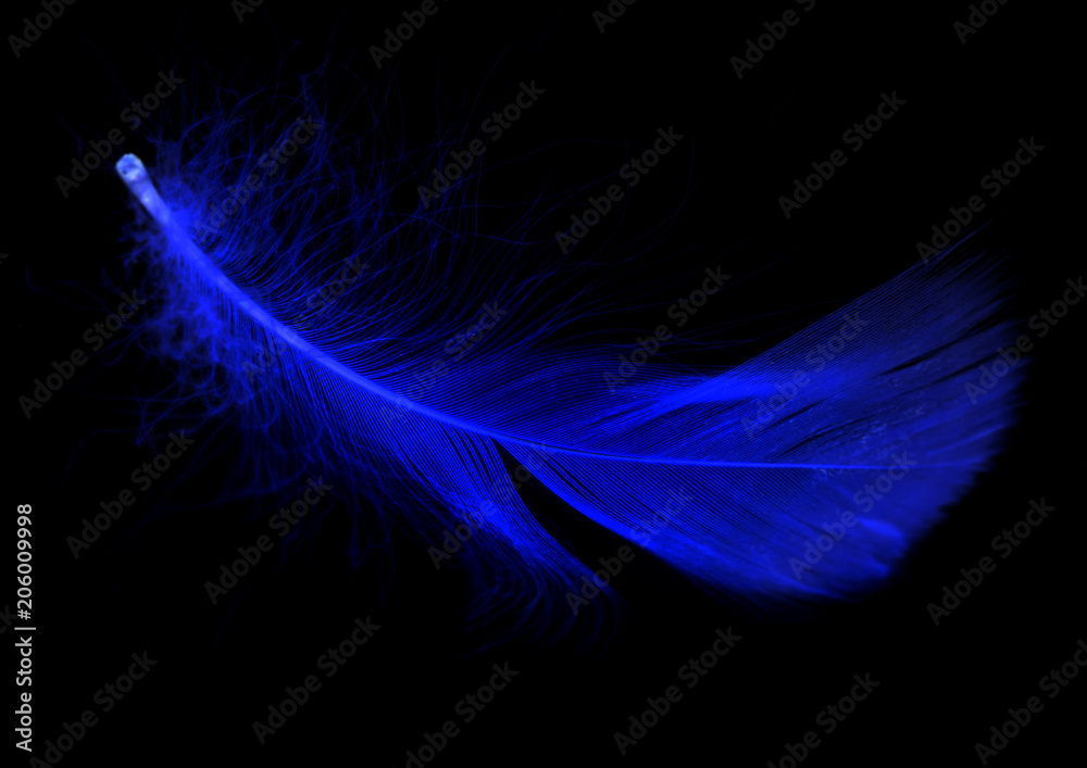 Naklejka premium Niebieskie pióro na czarnym tle