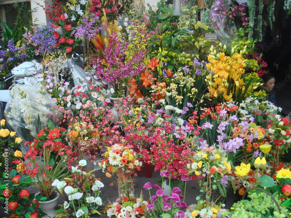 Obraz premium Blumenpracht