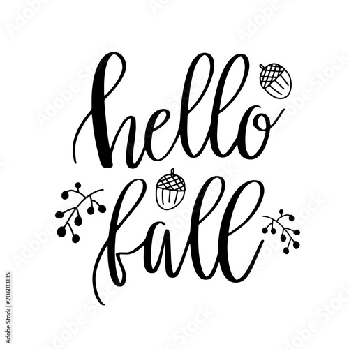 Hello Fall lettering text with autumn leaves and acorns. Hand drawn vector illustration. Black and white poster design elements