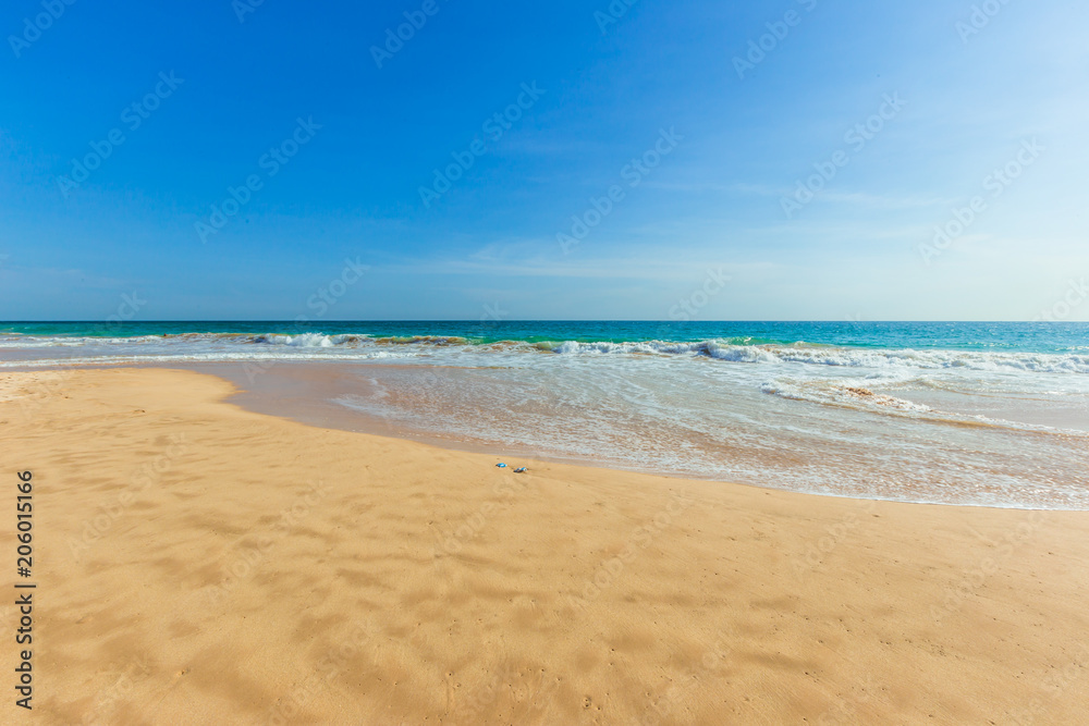 Fototapeta premium Untouched tropical beach