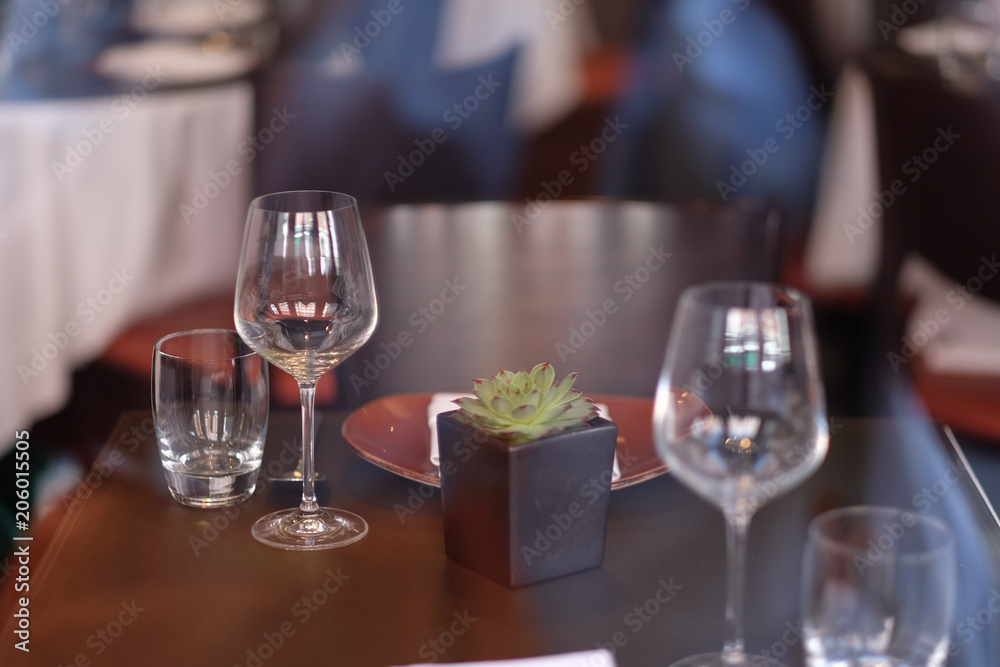 Served table in restaurant with dishes and pot with succulent plant